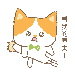 FangFangCat's Daily Drama