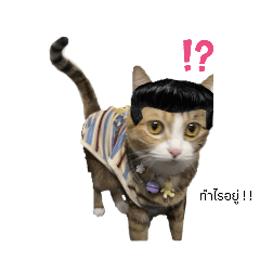 mmanznq_20251028182610