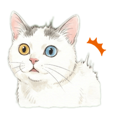 ねこというひと〜無言編〜