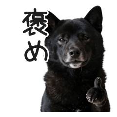 大人丁寧♡黒柴さんの褒め言葉