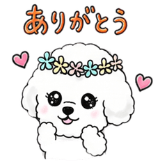 Mofumaru Daily Greetings Basics