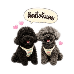 Chotang_20260430143940