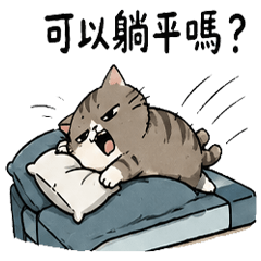 Lazy Cat: Student Life Edition