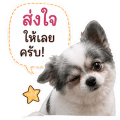 Nong Shokun V.1