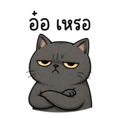 The Straight-Faced Cat
