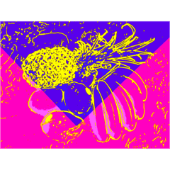 TROPICAL FRUIT POP ART STICKERS.