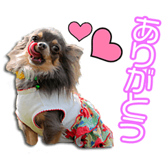 柿本家ののいBabyちゃん