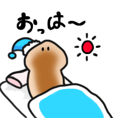 ゆるぷらなりあ