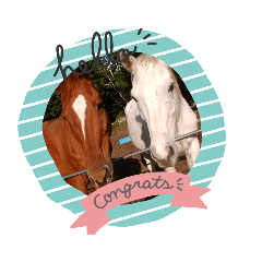 イロイロアニマル