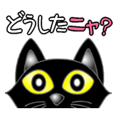 黒猫のロク