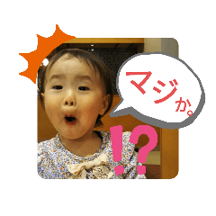 うちのこころさん。３