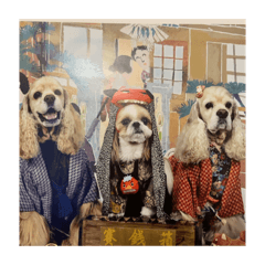 mimosaさんちの三ワンズ14