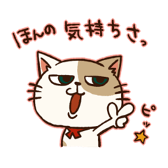 大好きを伝える野良猫ブッチ