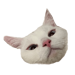 ミンルナキュートスタンプNo.2