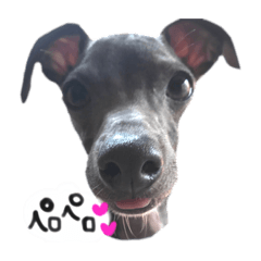 イタグレりるちゅぴのスタンプ♡