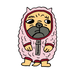 ジェントルわん　第２弾