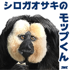 シロガオサキのモップくん JMC 3