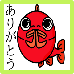 金魚屋の書いた金魚挨拶