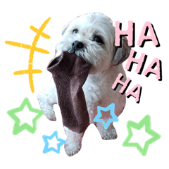 姫・ペタロー・コペタ1