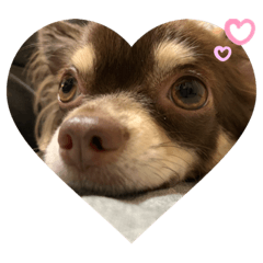 ちくわぶスタンプ❷