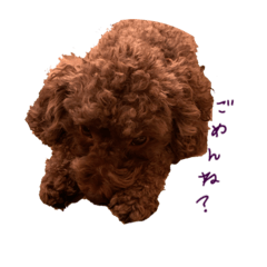 私のなっちゃん 1