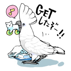 いたずらオウム