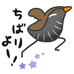 うちなーぐちとクイナさん