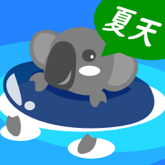 Koala Senior in Summer by Chinese