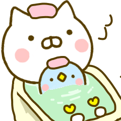 かわいい ねこ 5