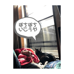 みーちゃんスタンプ　シリーズ2