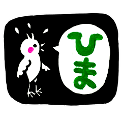 おかめインコ　NO.5