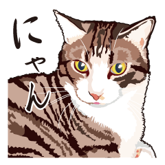 穏やかにゃんこ