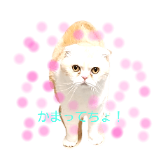 ちゃびちもんもんぱ