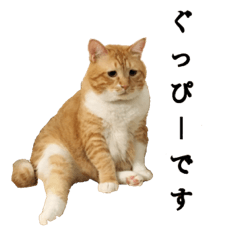 Guppy 's fat sticker