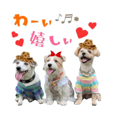 2021年スタンプ①