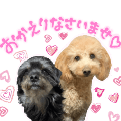 ちゃこりくスタンプ