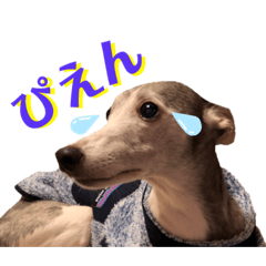 ウィルと仲間たちのスタンプ