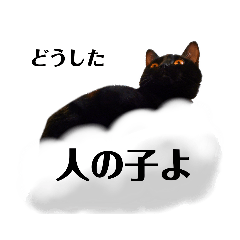 黒猫クロネ
