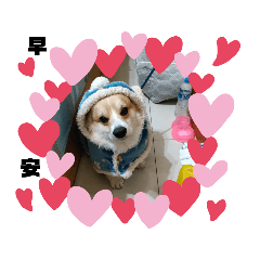 panda_20210330223801