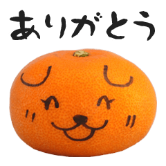 みかん犬の日常