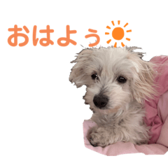 はぴたんスタンプ