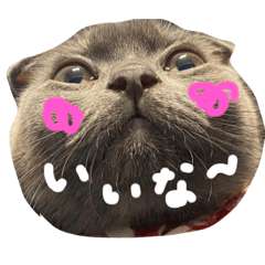 猫の凪さまスタンプ