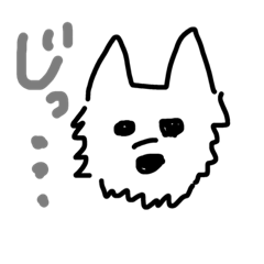 ゆる〜いチワワ