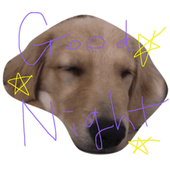 りぼんとミミー