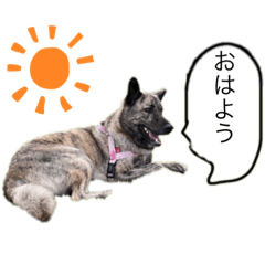 おいでよ、こひめちゃん！