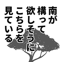 南さん名前ナレーション