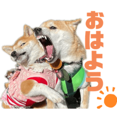 つくし&なずなスタンプ　part1