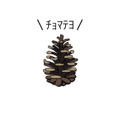 需要のあるしゃべるまつぼっくりたち