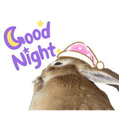 日常で使えるあさやんスタンプ