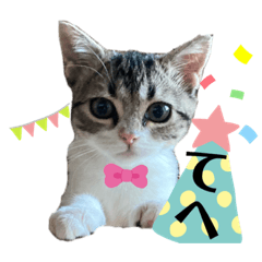 Abbeyミヌエットの女の子②